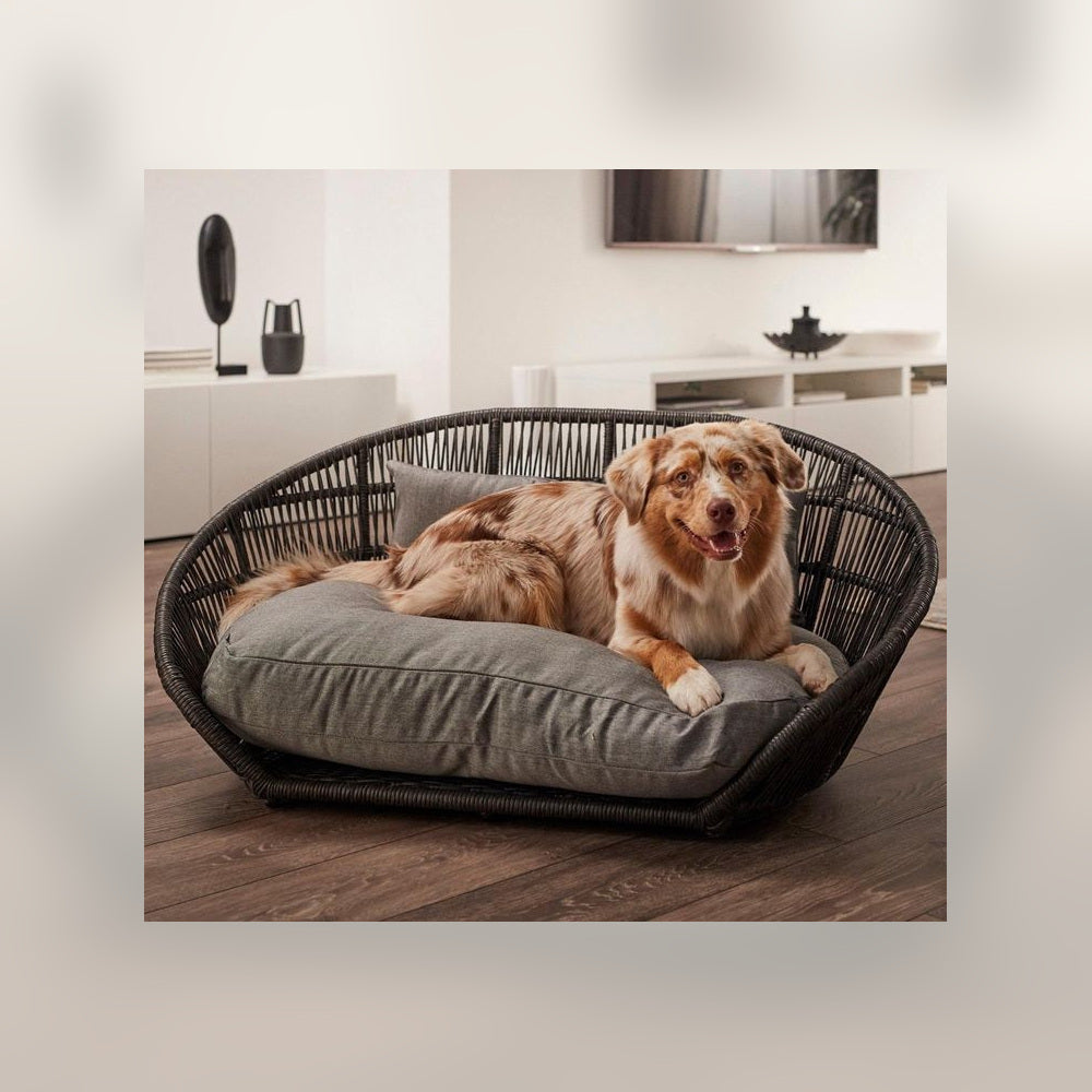 luxury pet lounge collection