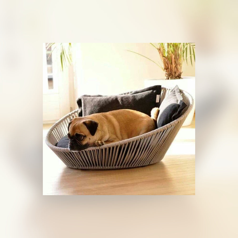 luxury pet lounge collection