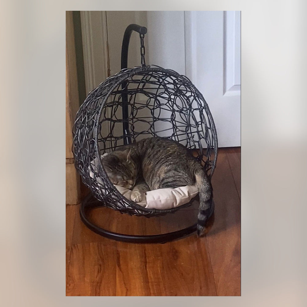 Luxury Pet Nido — Descanso con estilo para tu mascota