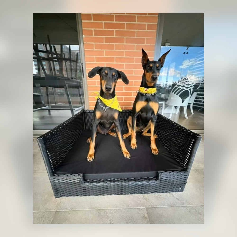luxury pet lounge collection